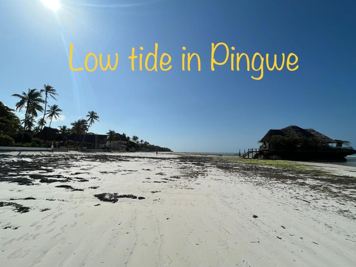 Tropical Boutique Hotel & Resto Pingwe Buitenkant foto